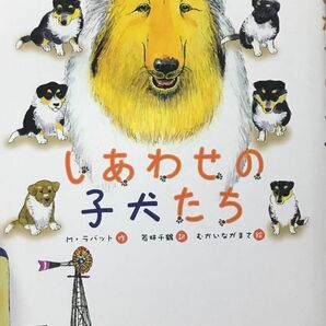 【読書感想文に】しあわせの子犬たち （文研ブックランド） メアリー・ラバット／作　若林千鶴／訳　むかいながまさ／絵