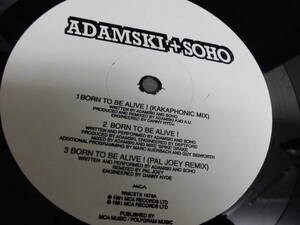 ADAMSKI+SOHO/ADAMSKI+JIMI POLO/BORN TO BE ALIVE!/1852