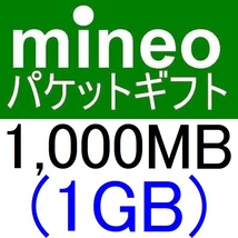 mineoパケットギフト1000MB(1GB)【マイネオパケットギフト、クーポン利用、PayPayポイント消化、PayPayポイント消費、スマホ】_画像1