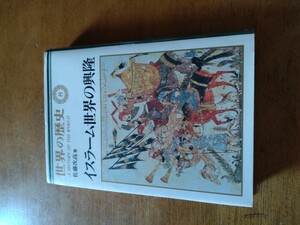 「世界の歴史　８ イスラーム世界の興隆」佐藤次高　中央公論社