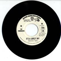 Youngbloods 「It's A Lovely Day/ Ice Bag」米国RACOON盤プロモ用EPレコード　_画像1