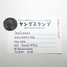 【古代ローマコイン】Gallienus（ガッリエヌス）クリーニング済 ブロンズコイン 銅貨 アントニニアヌス(tnQuCi2GeW)_画像10