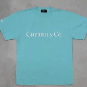 XXLサイズ サプール SAPEur CHERISH ＆ CO S/STEE Tシャツ ミントグリーンの画像1