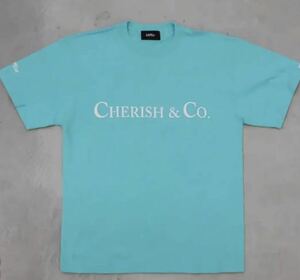 XXLサイズ　サプール SAPEur CHERISH ＆ CO S/STEE Tシャツ　ミントグリーン