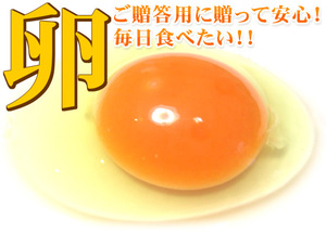 [ free shipping ] raw . length, egg ... is . for, Tama .80 piece (.. for )