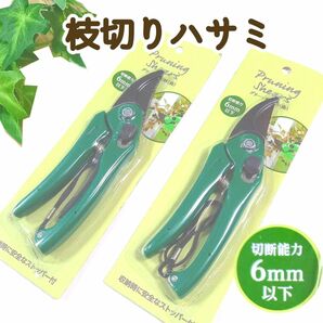 剪定はさみ 園芸ハサミ 枝切り ガーデニング新品未使用 送料無料