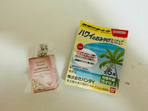 ハワイのおみやげミニチュアコレクション（ココナッツソープ）