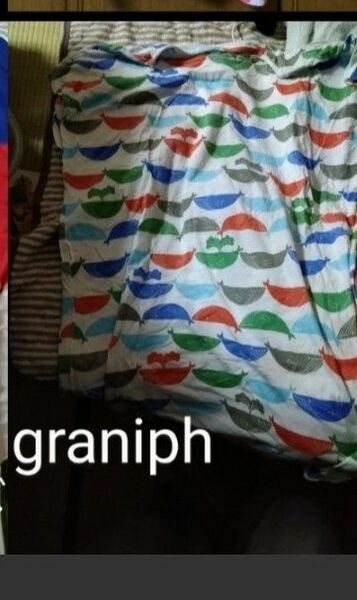 graniph Tシャツ チュニック フリーサイズ