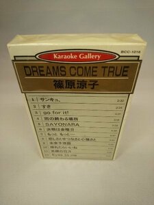 060-0059 送料無料【カセットテープ】カラオケギャラリー　DREAMS COME TRUE/篠原涼子　全12曲　新品未使用