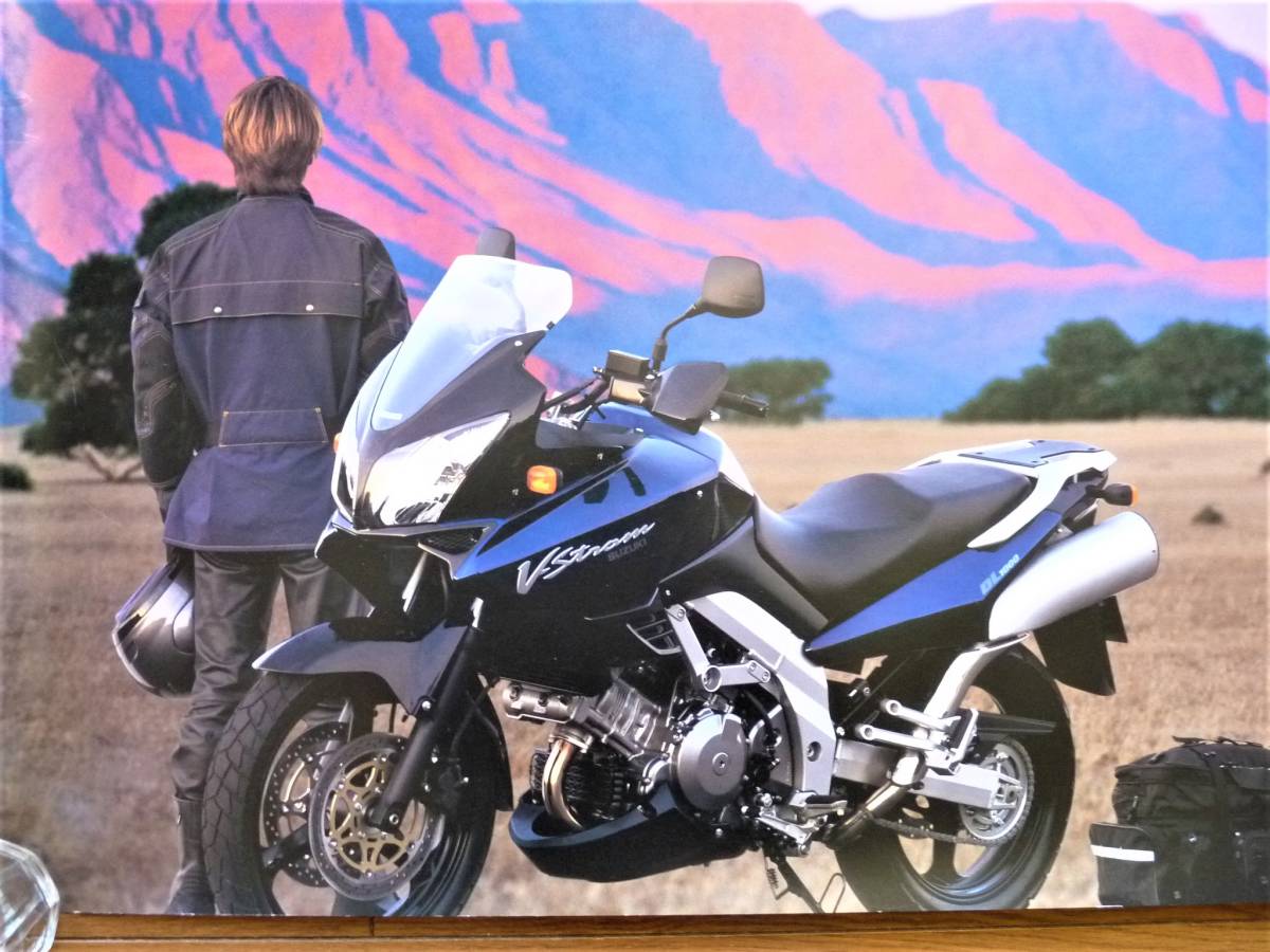 2023年最新】ヤフオク! -dl1000 suzukiの中古品・新品・未使用品一覧