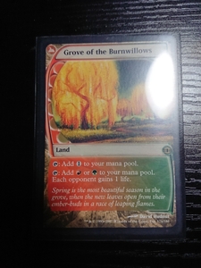 ★MTG 【ENG】《燃え柳の木立ち/Grove of the Burnwillows》[FUT] 土地R★全ての商品同梱可能