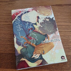 良品☆好きな人ができました/あおいれびん/BL 漫画/初版本☆4冊同梱可能!!