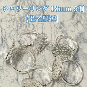 ラスト　シャワー リング 18mm 5個 シルバー シャワー直付け【匿名配送】