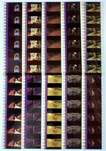 * thousand . thousand .. god ..*35mm movie film 6 koma ×10 pieces set [19]* Studio Ghibli * [Spirited Away][Studio Ghibli]