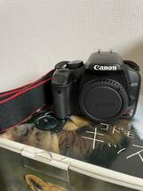 超美品！Canon EOS Kiss X2 レンズセット　箱、説有り　全ての動作確認OK 良品　_画像2