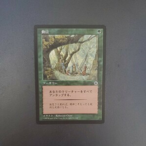 MTG 動員 POR 日本語 1枚の画像1