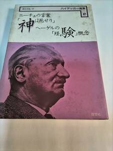 ハイデガー Heidegger,ニーチェの言葉「神は死せり」ヘーゲルの「経験」概念