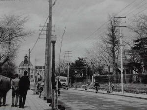 山形県絵葉書★風景　山形市「花の県庁前大通り」単色　未使用