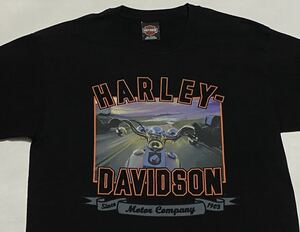 90's Harley Davidson ハーレー 両面プリントTシャツ Lサイズ ビンテージ古着 90年代 バイク モーターサイクル スタージス スカル