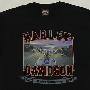 90's Harley Davidson ハーレー 両面プリントTシャツ Lサイズ ビンテージ古着 90年代 バイク モーターサイクル スタージス スカル