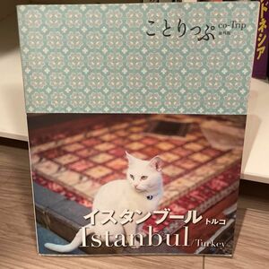 イスタンブールトルコ ことりっぷ海外版／昭文社