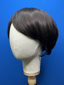 CR10495 WG⑤[ fashion ] new goods full wig Short jagi- dark brown heat-resisting natural ime changer small face with translation lady's 