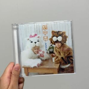 「猫中毒」テゴマス 初回盤B CD＋DVD