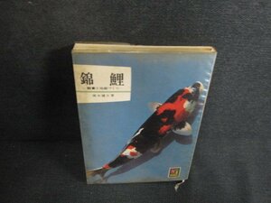 錦鯉　カラーブックス159　シミ大・日焼け強/AEW