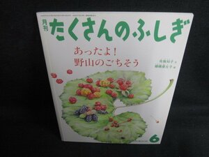 たくさんのふしぎ6　あったよ!野山のごちそう　日焼け有/BBJ