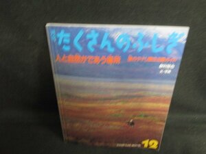 たくさんのふしぎ12　人と自然がであう場所　日焼け有/BBJ