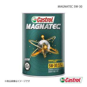 Castrol カストロール エンジンオイル Magnatec 5W-30 1L×6本 4985330109325