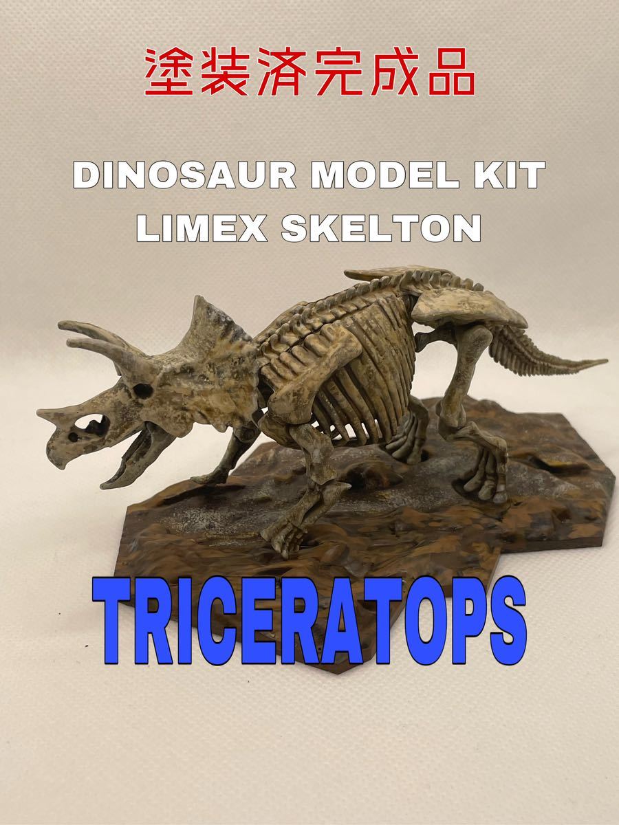 Squelette de dinosaure Triceratops, peinture réaliste, modèle en plastique, produit fini peint, fossile de dinosaure Bandai, jouet, jeu, Modèles en plastique, autres