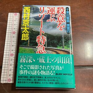 十津川警部捜査行　〔１５〕 （ＪＯＹ　ＮＯＶＥＬＳ　トラベル・ミステリー） 西村京太郎／著　実業之日本社