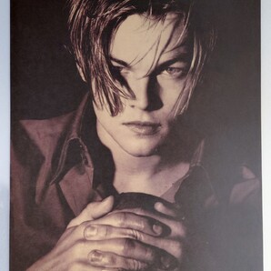 レオナルド・ディカプリオ ポスター ② 大