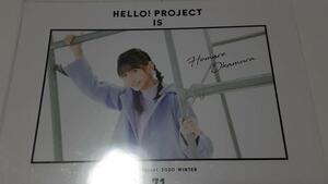 Hello! Project 2020 WINTER ピンナップポスター パート2 岡村ほまれ