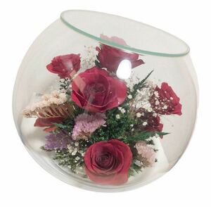 Reine De Fleur/ Len te flow ru rose gypsophila glass case entering dry flower 