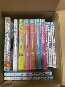 漫画 小説 プリンセス マジック リトル・プリンセス 氷の城のアナスタシア姫 ミラクルハッピー ヘアアレンジDX マリーアントワネット物語