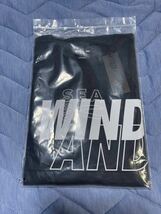 【新品未使用】23SS 新品 WIND AND SEA ウィンダンシー DENHAM WDS STITCH RAZOR L/S TEE Tシャツ カットソー 長袖 NAVY L デンハム_画像7