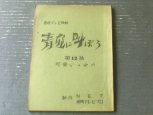 当時物【連続テレビ映画 青空に叫ぼう/第８話「可愛いやつ」シナリオ台本】東映テレビプロ・ＮＥＴ/昭和４２年
