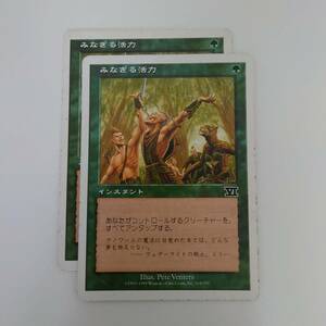 MTG/マジック ザ ギャザリング/みなぎる活力/第6版/コモン/2枚/中古品