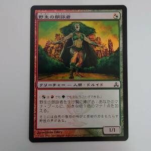 MTG/マジック ザ ギャザリング/野生の朗詠者/ギルドパクト/コモン/1枚/中古品