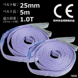 CE規格品 ベルトスリング ナイロンベルトスリング 25mm×5m ストレート吊 1T 【2本セット】両端アイ型/20Ψ