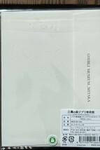 ジブリ美術館限定 　ステンドグラスポストカード となりのトトロ 　限定　ジブリ　三鷹の森　ステンドグラスポストカード　宮崎駿　_画像3