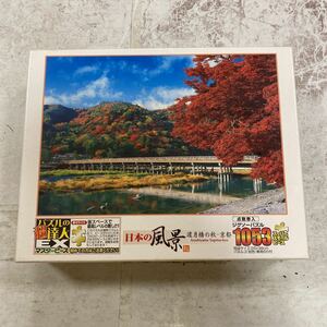 未開封品　デッドストック　倉庫保管品　ジグソーパズル　生産終了品　渡月橋の秋　京都　1053P 26x38 47-610 アポロ