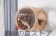 高品質！猫 キャットウォーク キャットステップ ベッド ハウス 壁付け 天然木 宇宙_画像1