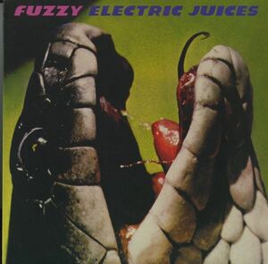 US96年プレスLP Fuzzy / Electric Juices【Tag Recordings 92626-1】オルタナティブ・ロック 90's US Indie Hilken Mancini ギターポップ