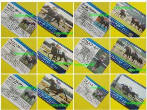 函館競馬場＊メモリアルレースカード＊札幌競馬場＊ナリタブライアン＊ゴールドアクター＊ウイニングチケット＊サッカーボーイ＊ＪＲＡ