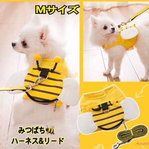 New 新品!!ペット 犬 ミツバチ ハーネス&リード 2点セット Mサイズ 胴輪 はち
