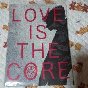 藤井フミヤ LOVE IS THE CORE FF2016 Special Live CORE V グッズ パンフレット 美品