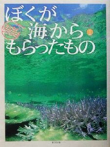 ぼくが海からもらったもの(１) 井上慎也フォトエッセイ スマイル・ブックス１／井上慎也(著者)